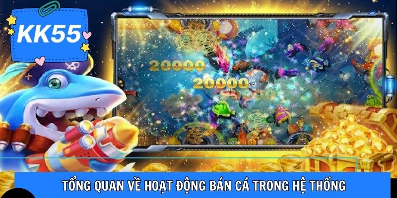 Tổng quan về hoạt động bán cá trong hệ thống